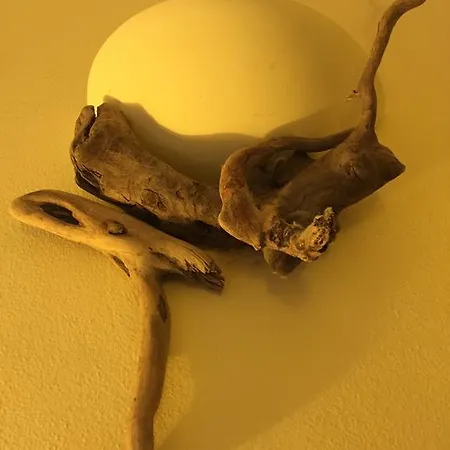 招待所 Da Vice 蒙特罗索阿尔马雷