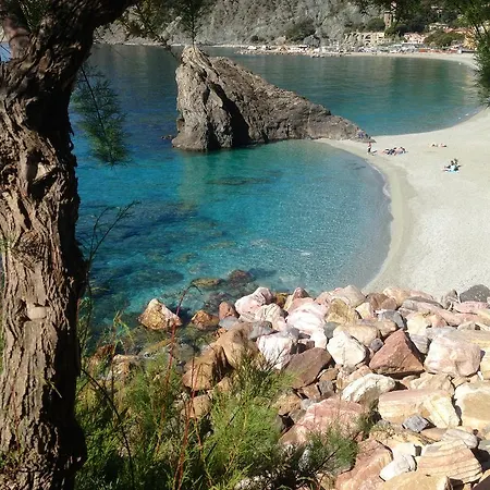 Da Vice Monterosso al Mare