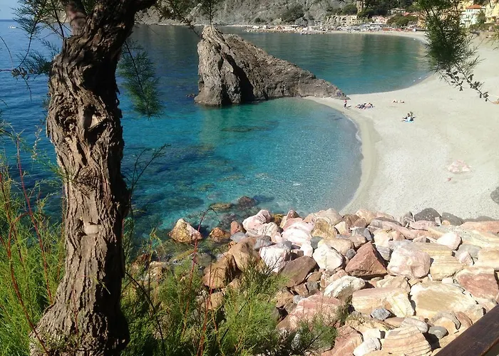 Da Vice Monterosso al Mare